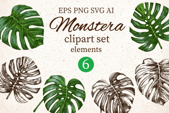 Monstera Clipart Set: Elegant Botanical Design Elements