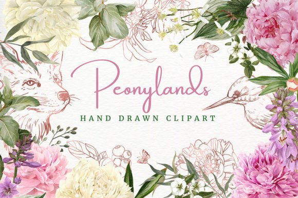 Peony Land, Hand Drawn Clipart: A Floral Design Suite
