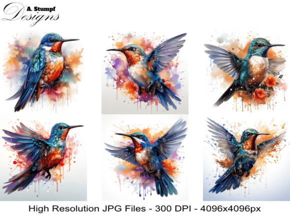 The Timeless Appeal of A Humming Bird for Your Projects