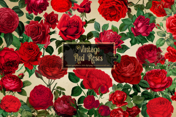 Timeless Beauty: Using Vintage Red Roses Clipart