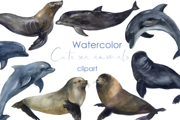 Watercolor Sea Animals Clipart: Dolphins & Seals for Creative Projects