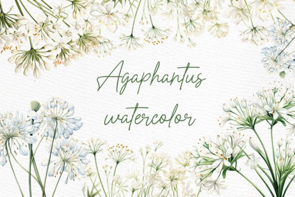 White Wild Flowers Clipart Watercolor: A Designer's Secret Weapon