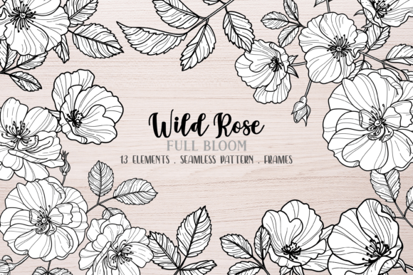 Wild Rose Clipart: Black Line Art for Invitations